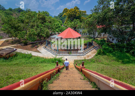 Greeneries Inside Neyyar Dam, Kerela, India. Stock Photo