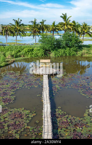 Bamboo walkway and Bamboo shack on the pond. Stock Photo