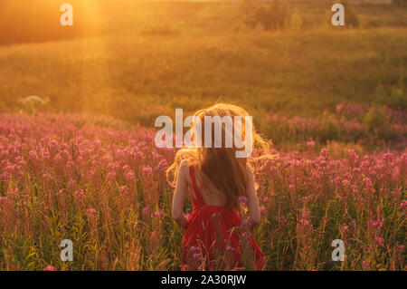 Dancing and jumping girl in red dress among blooming Sally field in sunset Stock Photo