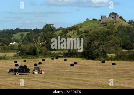 Dryslyn Castle set atop its own hill has a commanding position over the River Towy valley. A farmer gathers in the hay in the fields below. Stock Photo