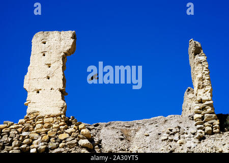 Alpine chough soaring amongst the ruins of an ancient gompa in Chuksang, Upper Mustang region, Nepal. Stock Photo