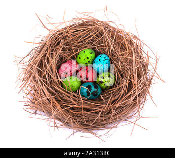 Easter eggs in nest painted, isolated on white background. Colored quail eggs Stock Photo