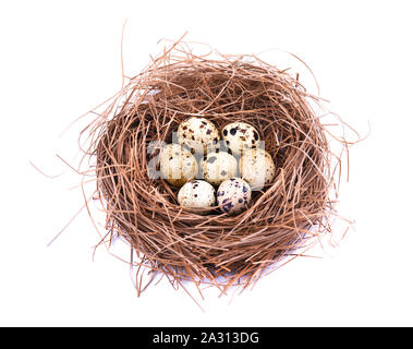 Quail eggs in a straw nest, isolated on white background. Stock Photo