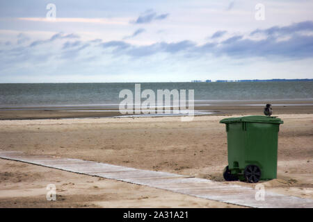 The seaside is equipped with a wooden walkway and a dumpster. Winter, not the season concept, crow sitting on a container Stock Photo