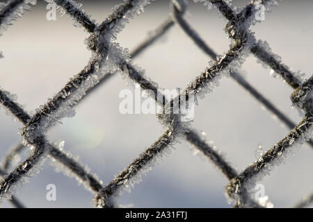 Frozen fence made of metal mesh covered with frost crystals, an early sunny cold morning, on a blurred background. Close-up. Stock Photo