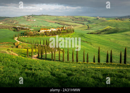 Typical green Tuscany landscape in Val d'Orcia with a winding road, fields, cypresses and blue sky, Toscana, Italia, Italy