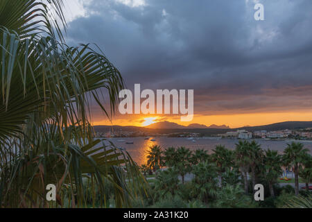 Panoramic sunset view against mountains and sky with thick clouds. Palm trees in the foreground Stock Photo
