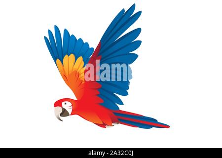 Adult parrot of red-and-green macaw Ara flying (Ara chloropterus) cartoon bird design flat vector illustration isolated on white background. Stock Vector