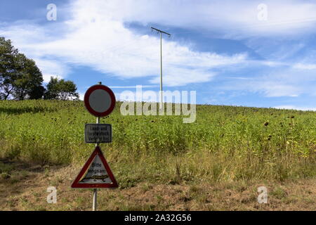 Road sign with a picture of a salamander on it in front of a dead sunflower field in autumn Stock Photo