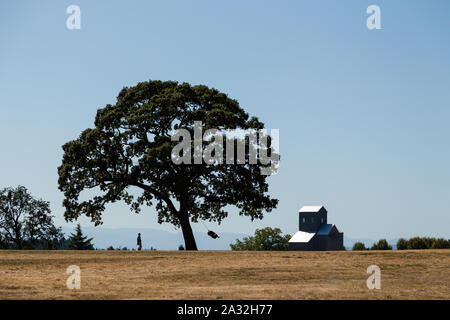 Father pushing his daughter on a tire swing hanging from a tree in a rural country scene, subjects intentionally silhouetted, faces not visible, and Stock Photo