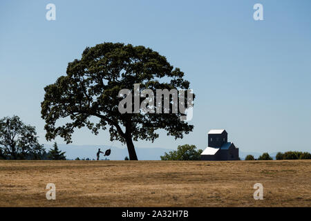 Father pushing his daughter on a tire swing hanging from a tree in a rural country scene, subjects intentionally silhouetted, faces not visible, and Stock Photo