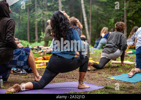 An eclectic group of individuals are seen practicing yoga in unison, barefooted on yoga mats in a woodland clearing during a mindful retreat. Stock Photo