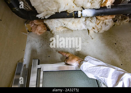 mold mildew on inside wall along baseboard molding storm damage water : The astonishing picture capturing an stunning view. The tones are striking and mix flawlessly. Its layout is great, and its particulars are also very clear.