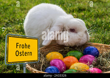 Happy Easter Easter Bunny Place-name sign Stock Photo