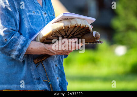 A closeup view on the hands and body of an elderly person wearing a denim shirt & holding a traditional native drum during a cultural music gathering in a park Stock Photo