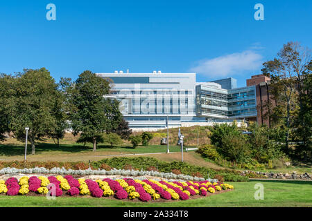 WALTHAM, MA/USA - SEPTEMBER 30, 2019: View of Brandeis University entrance and campus buildings. Stock Photo