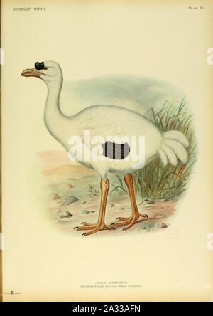 Extinct birds - an attempt to unite in one volume a short account of those birds which have become extinct in historical times - that is, within the last six or seven hundred years - to which are (14747636331). Stock Photo