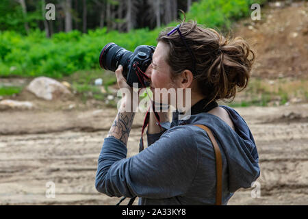 A close up and side profile view of a professional female photographer taking photographs in woodland, with hair tied up and a tattooed arm, composing a shot. Stock Photo
