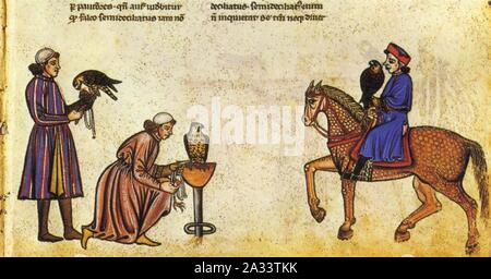 Falconry Book of Frederick II 1240s. Stock Photo