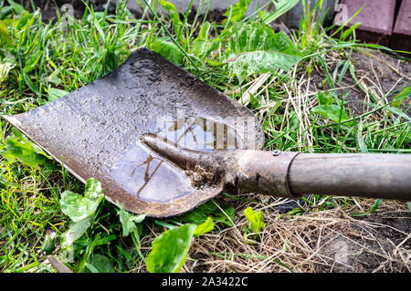 Old metal shovel lying on the green grass, after rain. Close-up. Stock Photo