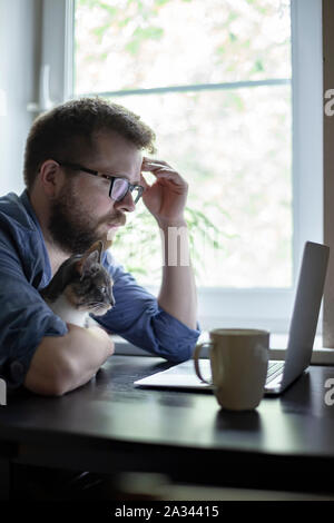 Bearded man in glasses with a cute cat on his hands intently working with a laptop in the early morning against the window. Stock Photo