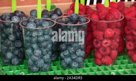 Ready-to-eat fruit salad made of blueberries and raspberries in plastic container at street market, fresh fruit in plastic cups Stock Photo