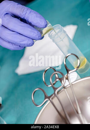 Nurse preparing medication for parenteral nutrition in a hospital, conceptual image Stock Photo