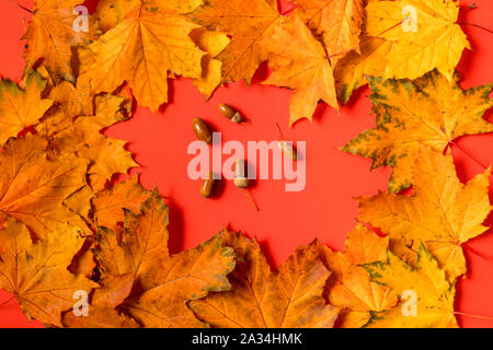 autumn leaves layout and some acorns on red background. Stock Photo