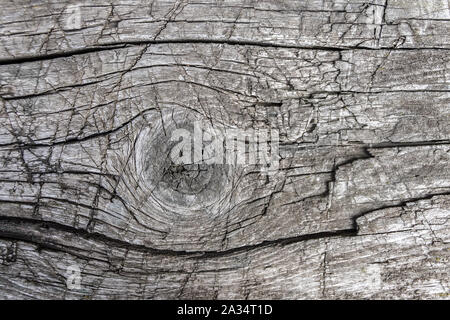 The texture of an old wooden board in cracks and breaks, dried from time to time Stock Photo