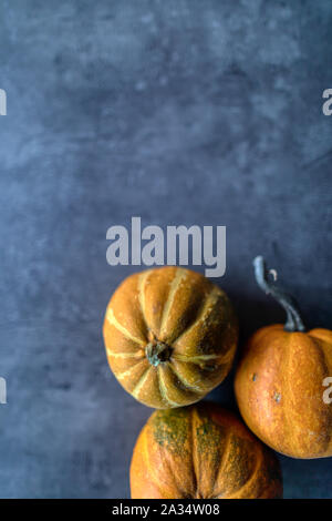 Happy Thanksgiving, Selection of various pumpkins on grey stone background, Autumn vegetables and seasonal decorations, Banner Stock Photo