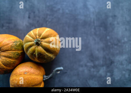Happy Thanksgiving, Selection of various pumpkins on grey stone background, Autumn vegetables and seasonal decorations, Banner Stock Photo