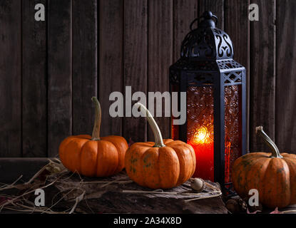 Mini pumpkins with burning lantern on a rustic wooden surface and background with copy space Stock Photo