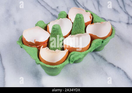 Studio shot of cracked, empty chicken egg shells in an egg box on a marble background - John Gollop Stock Photo