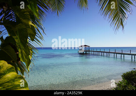 Tropical leaves frame an image of a dock leading out into turquoise waters Stock Photo