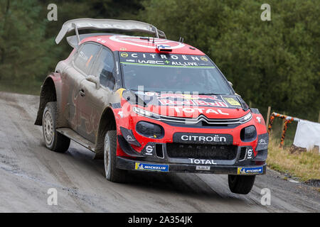 Sweet Lamb Hafren, Powys, UK. 5th Oct, 2019. WRC Wales Rally GB, Stage ...