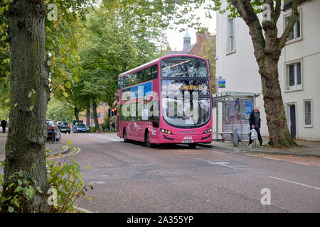 Translink metro pink double decker city bus at bus shelter stop on the leafy street of Botanic street in centre of Belfast Stock Photo