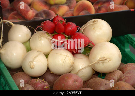 bio store with ripe radish and beetroot, fresh beetroot and radish in a basket on a healthy market Stock Photo