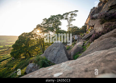 Setting sun behind scenic trees at Ramshaw Rocks at The Roaches. Peak District in United Kingdom Stock Photo