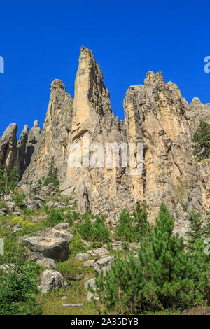 cathedral spires in custer state park near custer, south dakota Stock Photo