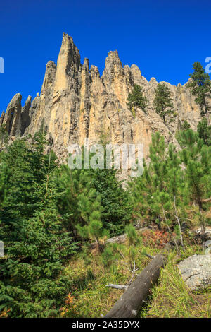 cathedral spires in custer state park near custer, south dakota Stock Photo