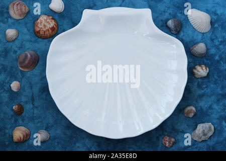 Plate white shell in marine style on a blue background Stock Photo