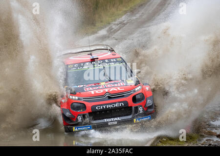 Llanidloes, UK. 5th Oct, 2019. Esapekka Lappi and co-driver Janne Ferm compete in their Citroen Total WRT Citroen C3 WRC during Stage Thirteen of the Wales Rally GB, Credit: Jason Richardson/Alamy Live News Stock Photo
