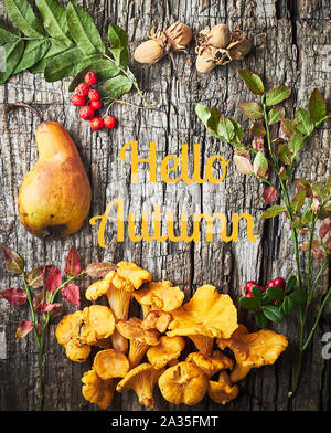 Hello autumn frame from fall pear, mushrooms, berries, nuts and leaves on old wooden background, flat lay, from above top view, copy empty space Stock Photo