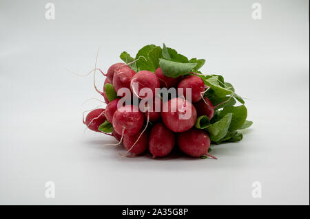 Small garden radish isolated on white background Stock Photo
