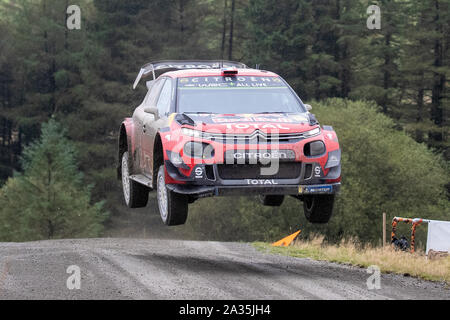 Llanidloes, UK. 5th Oct, 2019. Sebastien Ogier and co-driver Julien Ingrassia compete in their Citroen Total WRT Citroen C3 WRC during Stage fifteen of the Wales Rally GB, Credit: Jason Richardson/Alamy Live News Stock Photo