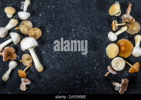 Two vertical borders with different tiny mushrooms on dark texture background. Stock Photo