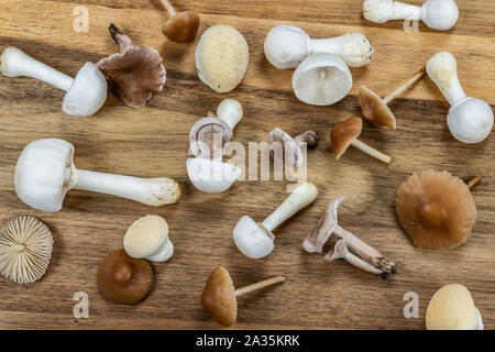 Fresh mushrooms on a wooden chopping board. Overhead view. Stock Photo
