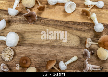 Mushroom autumn frame. Collection of white and brown tiny mushrooms on wooden background. Stock Photo