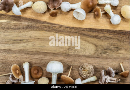 Two horizontal borders with different tiny mushrooms on wooden background. Stock Photo