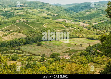 Vineyards landscapes in the morning in Albola in the Chianti region. Stock Photo